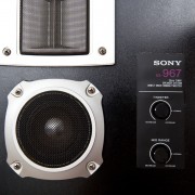 Sony SS967 Speakers Front Panel